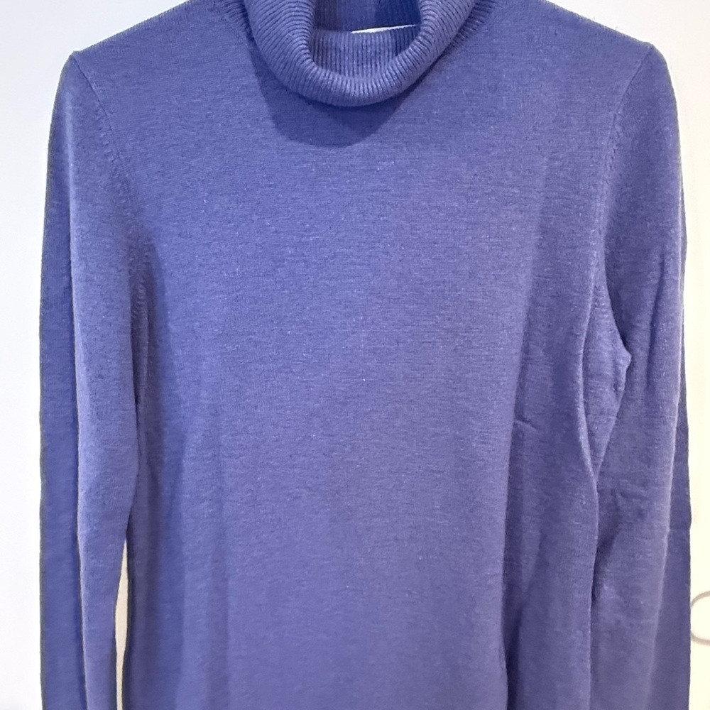 Charter Club Unisex light Purple Turtleneck Sweater